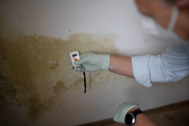 Best Crawl Space Mold Removal  in Ohioville, PA